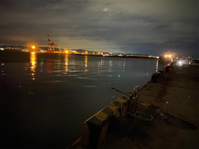 ぼちぼち刀狩り