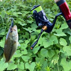 テクニカルエディションで