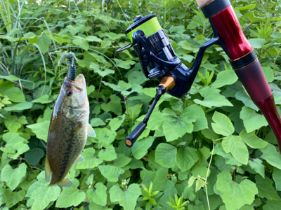 テクニカルエディションで