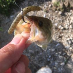 流れ＋シェード＋カバー