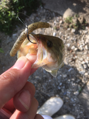 流れ＋シェード＋カバー