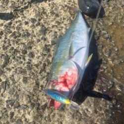 ショアブリ トライデント150/60