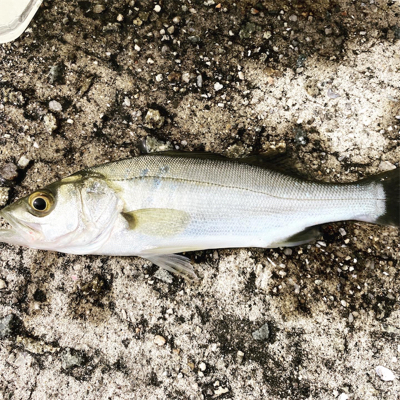 キス狙いで大満足！