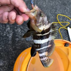 涼しくなりましたね〜