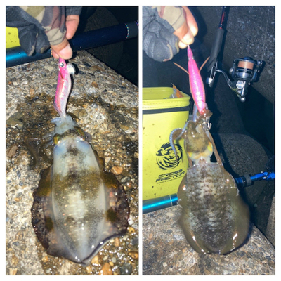 久しぶりのナイトエギング(^.^)