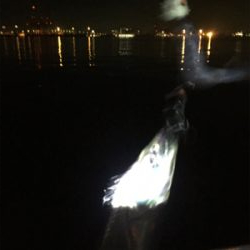 小さいがよく釣れる