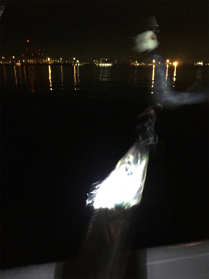 小さいがよく釣れる