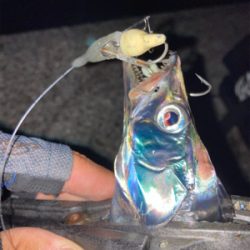 2021ライトゲーム第29戦