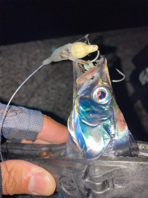 2021ライトゲーム第29戦