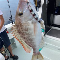 カツオキャスティング