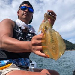 ジギング とティップラン