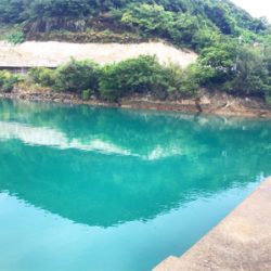 本日の袋漁港の釣果！