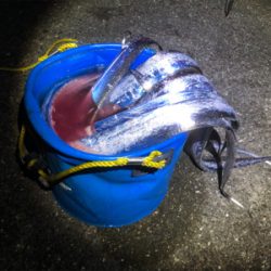 タチウオぼちぼち