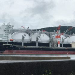 今年も新子はソーシャルディスタンス