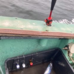 テンヤタチウオ