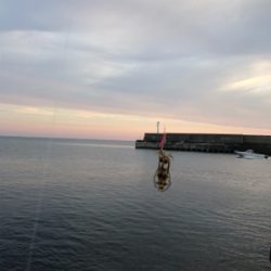 宮津西と浅茂川まで