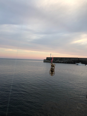 宮津西と浅茂川まで