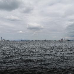 雨もやんでタコ