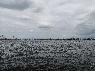 雨もやんでタコ