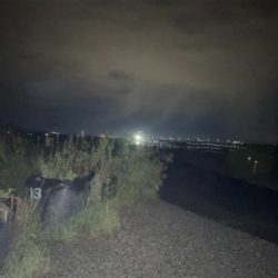 今年初のチヌは歳無し