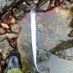 人混み避けて雨天決行