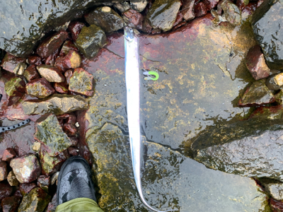人混み避けて雨天決行