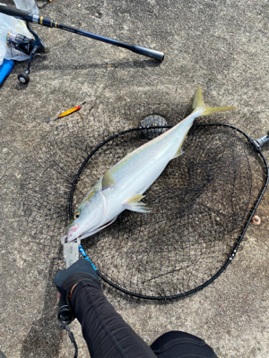 自転車で渡船まで…