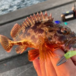 牙者退治のはずが