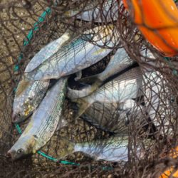 台風の去ったあと