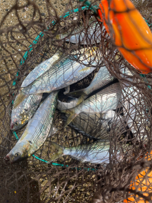 台風の去ったあと