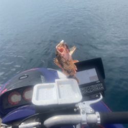 能登島付近で軽く遊びました