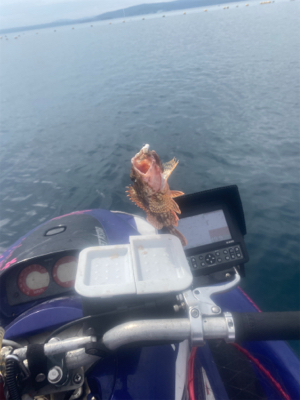 能登島付近で軽く遊びました