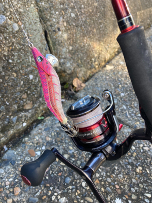 台風通過後のエギング(^.^)