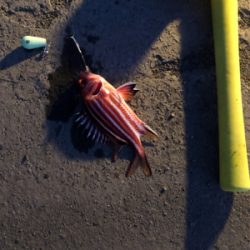 台風が過ぎたので