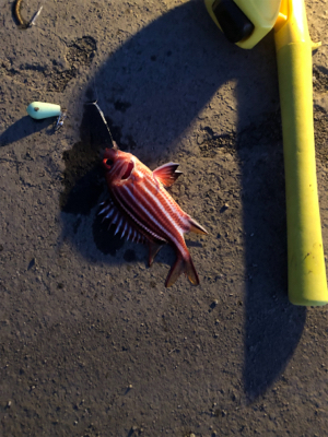 台風が過ぎたので