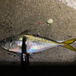 ワールドシャウラで釣れる魚を釣る。