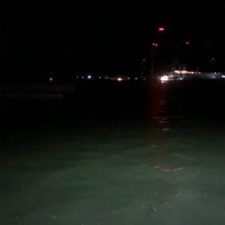 タチウオきてます！