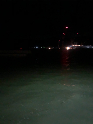 タチウオきてます！