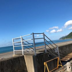 タチウオようさん釣れてました