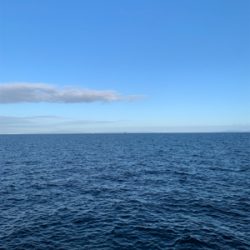 なんとか、ハマチ！