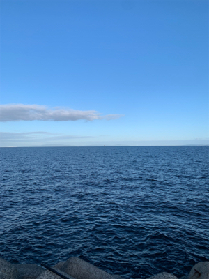 なんとか、ハマチ！