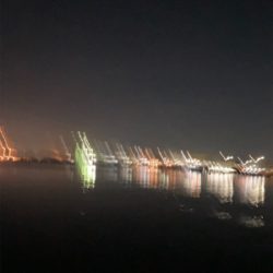 5投目でキャッチ