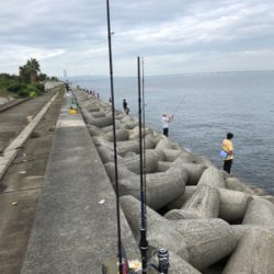 カタクチくるくる