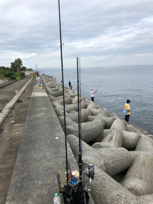 カタクチくるくる