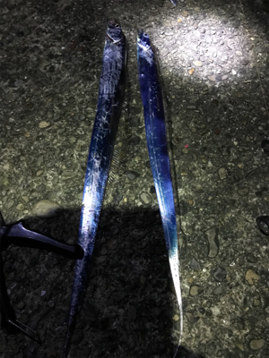 太刀魚釣り！^ ^