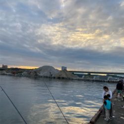 太刀魚、サビキ、ちょい投げ