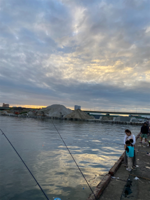 太刀魚、サビキ、ちょい投げ