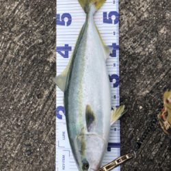 5度目にようやく！