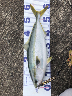 5度目にようやく！