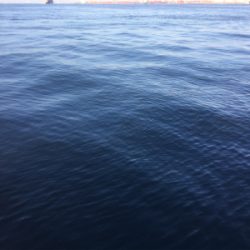 中秋の名月釣行